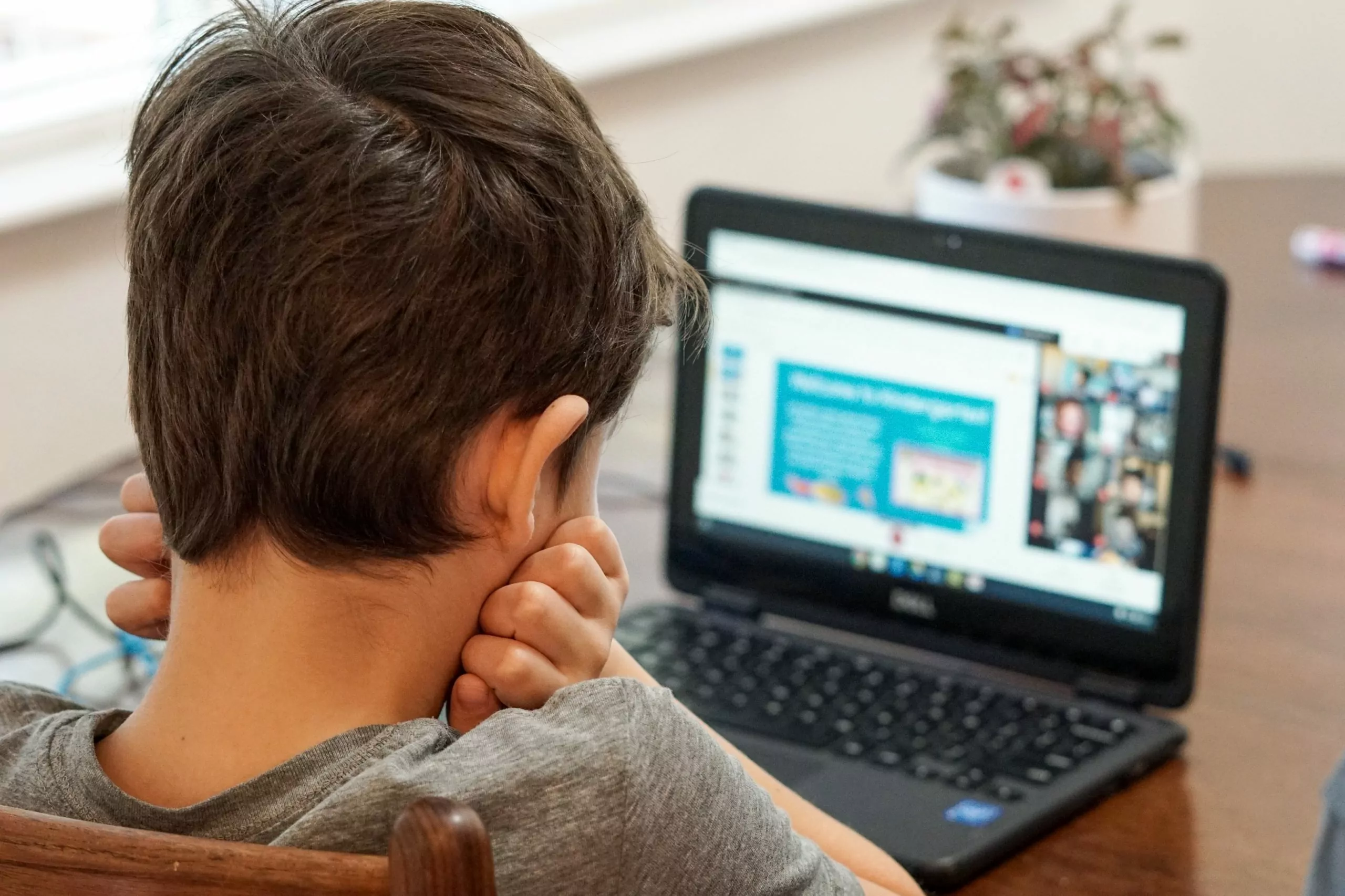 elementary student learning online